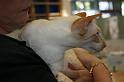 IMG_6767